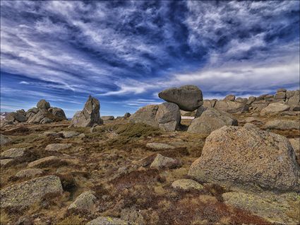 Rams Head Range - Kosciuszko NP - NSW SQ (PBH4 00 10687)